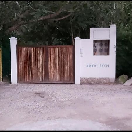 New! Casa Xola Cenote And Fauna Loft Cozumel Eksteriør billede