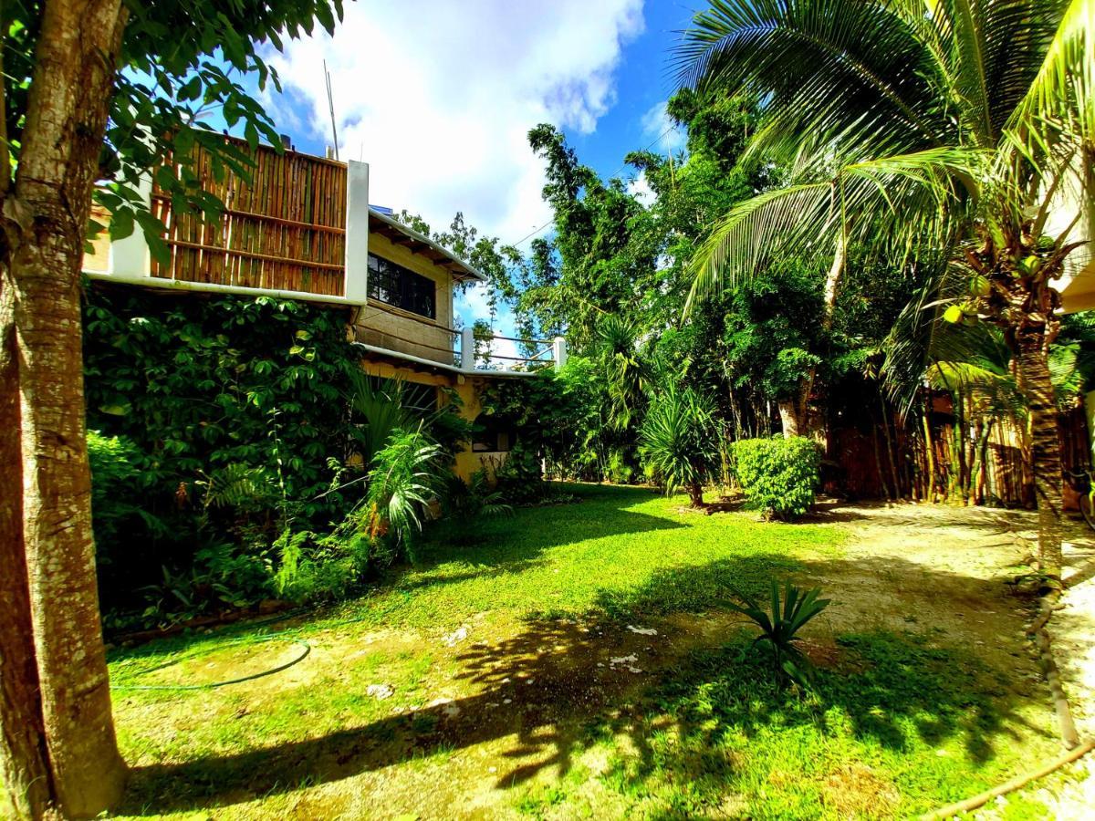 New! Casa Xola Cenote And Fauna Loft Cozumel Eksteriør billede