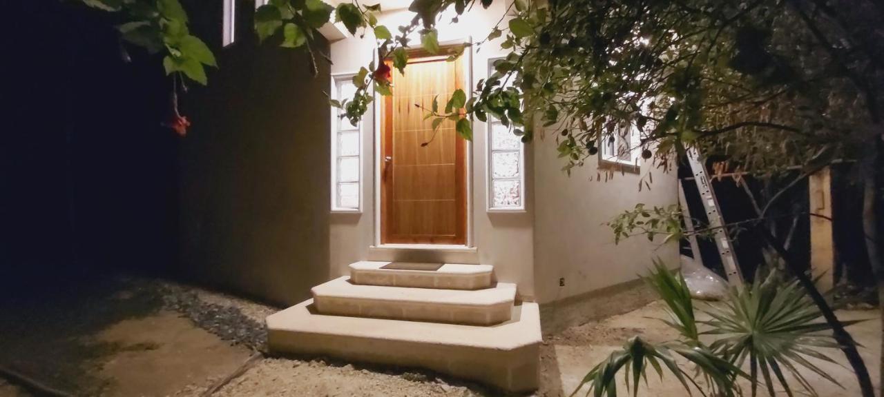 New! Casa Xola Cenote And Fauna Loft Cozumel Eksteriør billede
