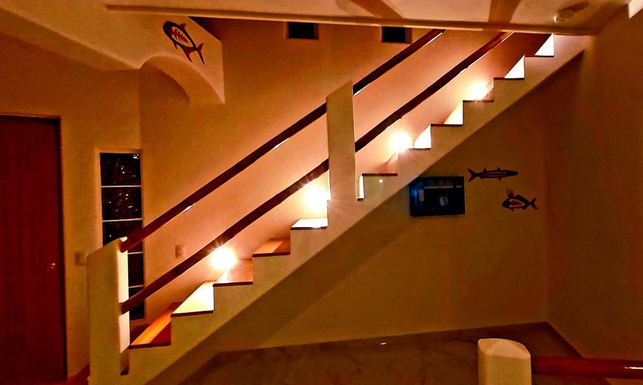 New! Casa Xola Cenote And Fauna Loft Cozumel Eksteriør billede