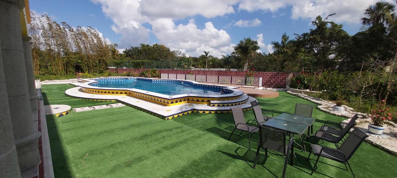 New! Casa Xola Cenote And Fauna Loft Cozumel Eksteriør billede